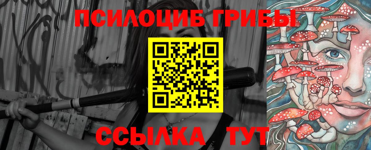 купить наркотики цена  Вход с VPN  Павлово  Галлюциногенные грибы мухоморы 